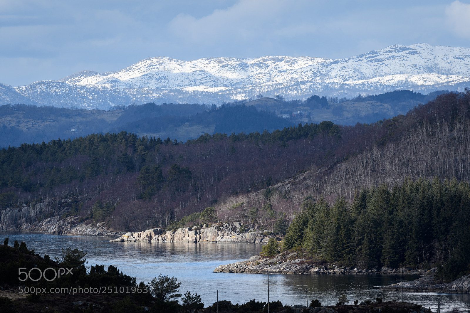 Nikon D500 sample photo. From winter to spring photography