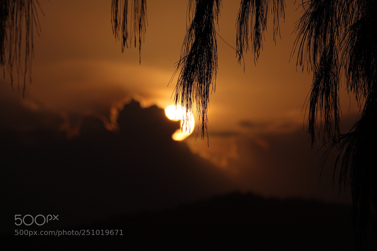 Canon EOS 700D (EOS Rebel T5i / EOS Kiss X7i) sample photo. Goodbye today photography