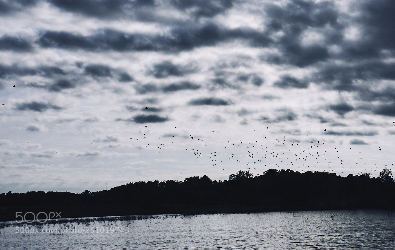 Fujifilm X-T10 sample photo. Instagram @ nacho.kai photography