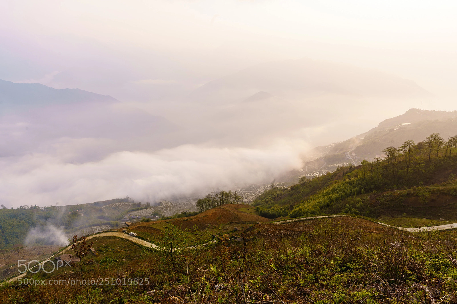 Sony a7R II sample photo. Y tý noon photography
