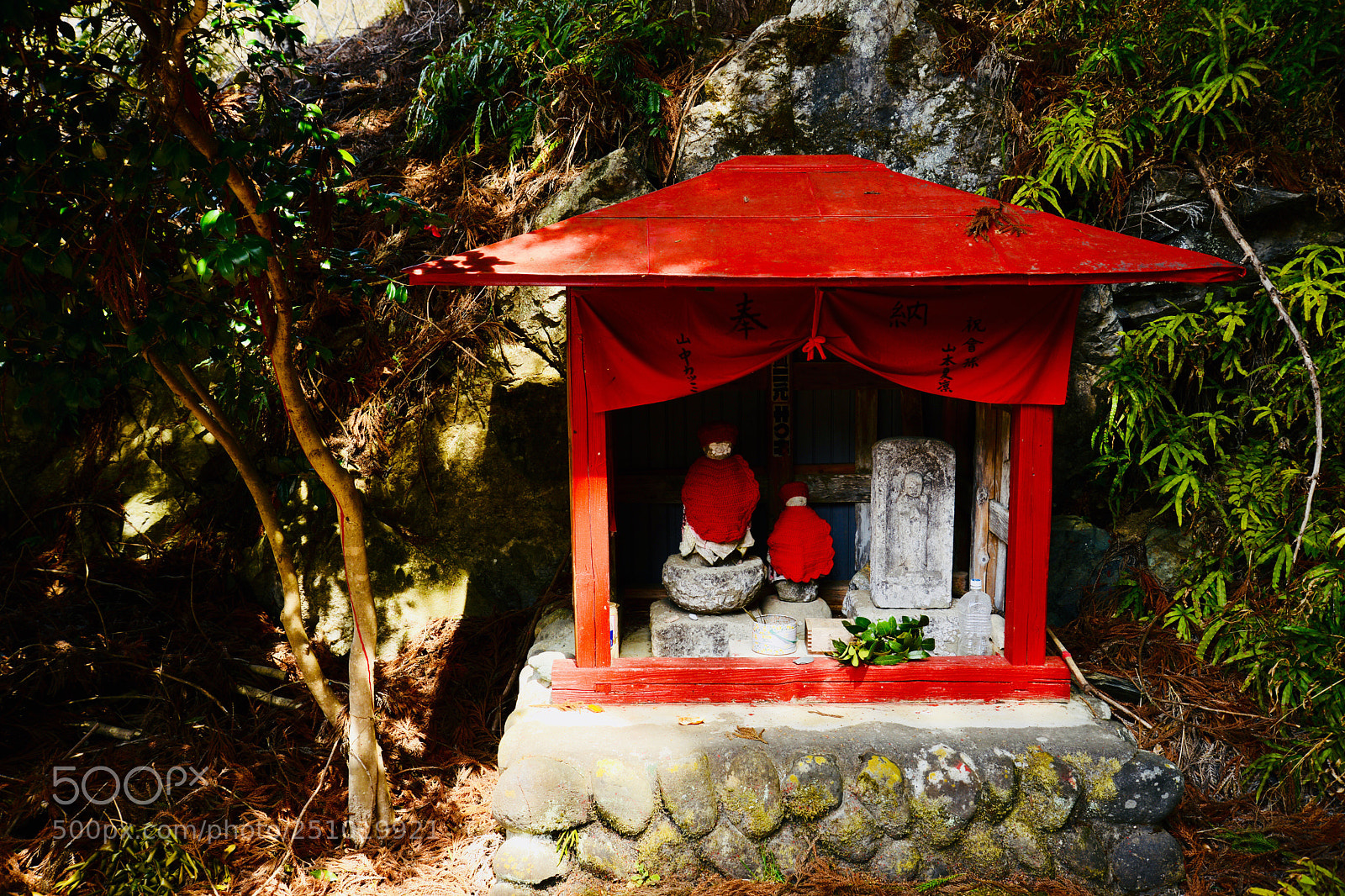 Nikon D800 sample photo. Untitled photography