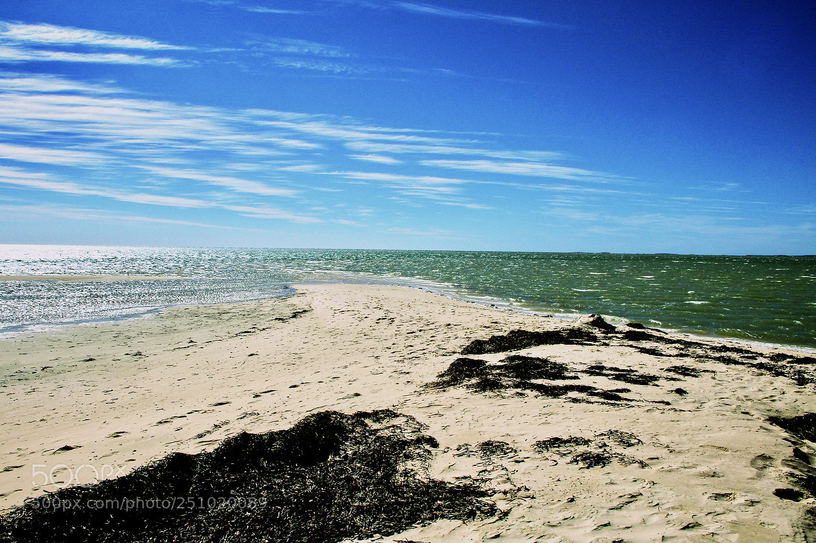Canon EOS 7D sample photo. Monkey mia beach photography