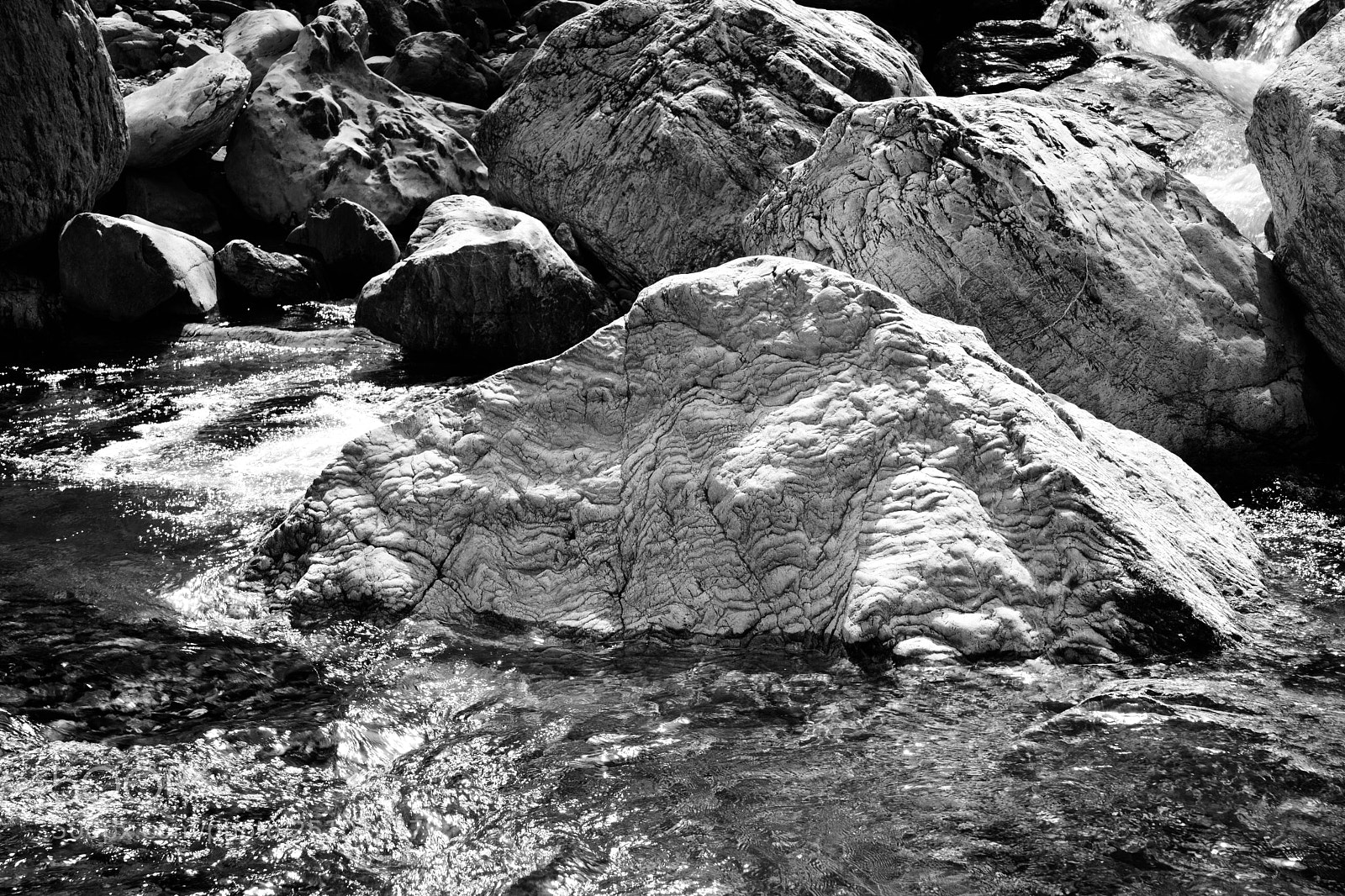 Nikon D800 sample photo. Untitled photography