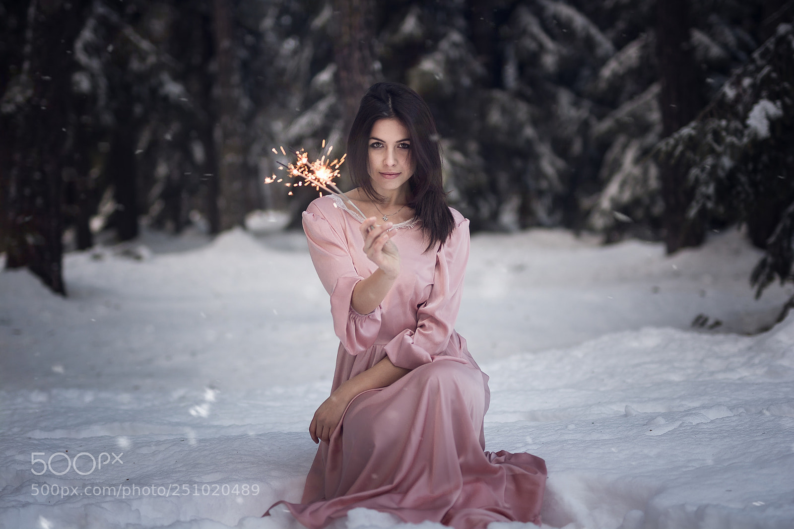 Nikon D7100 sample photo. Queen of the snow photography