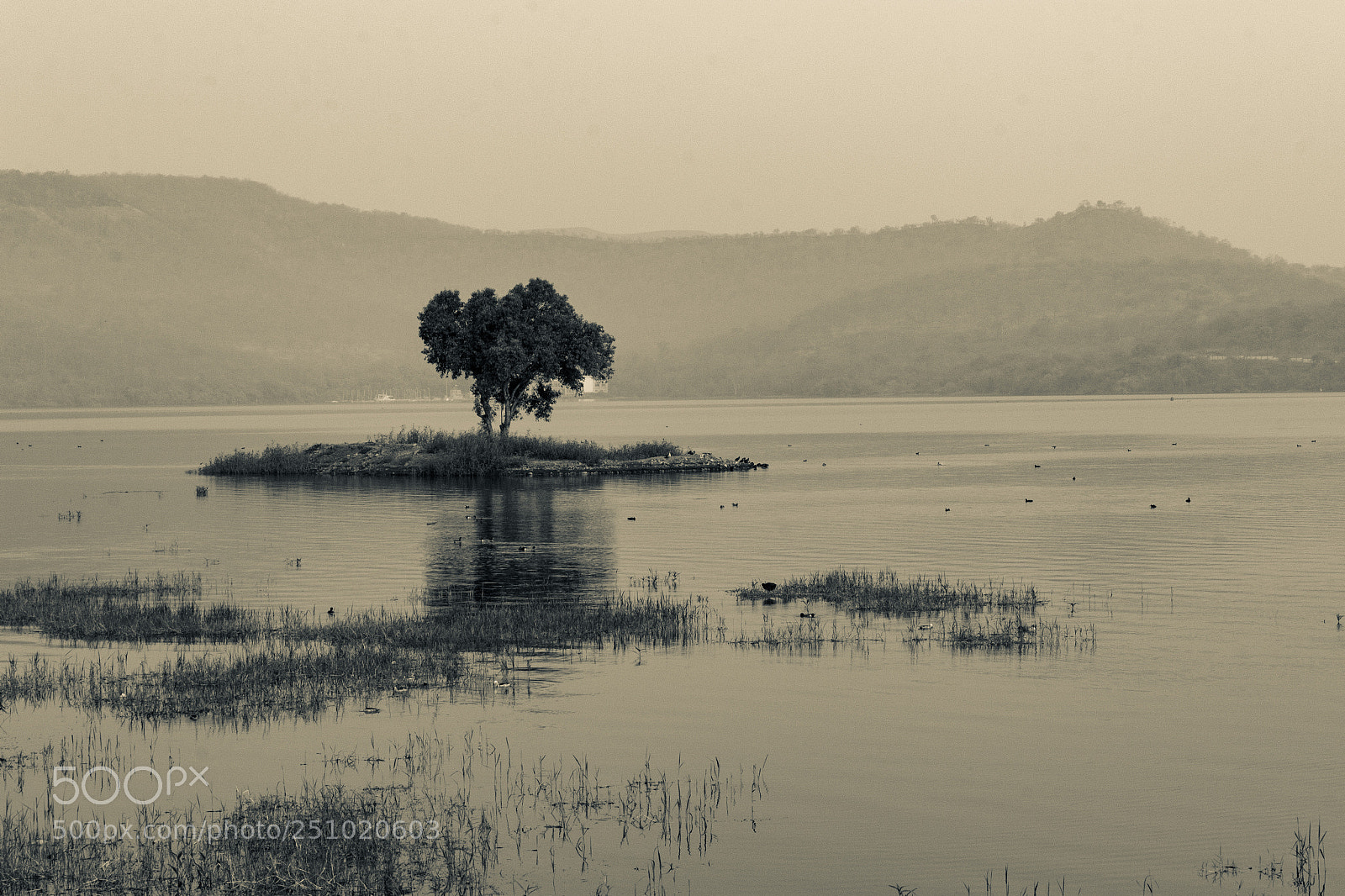 Canon EOS 600D (Rebel EOS T3i / EOS Kiss X5) sample photo. Sepia toned lake photography