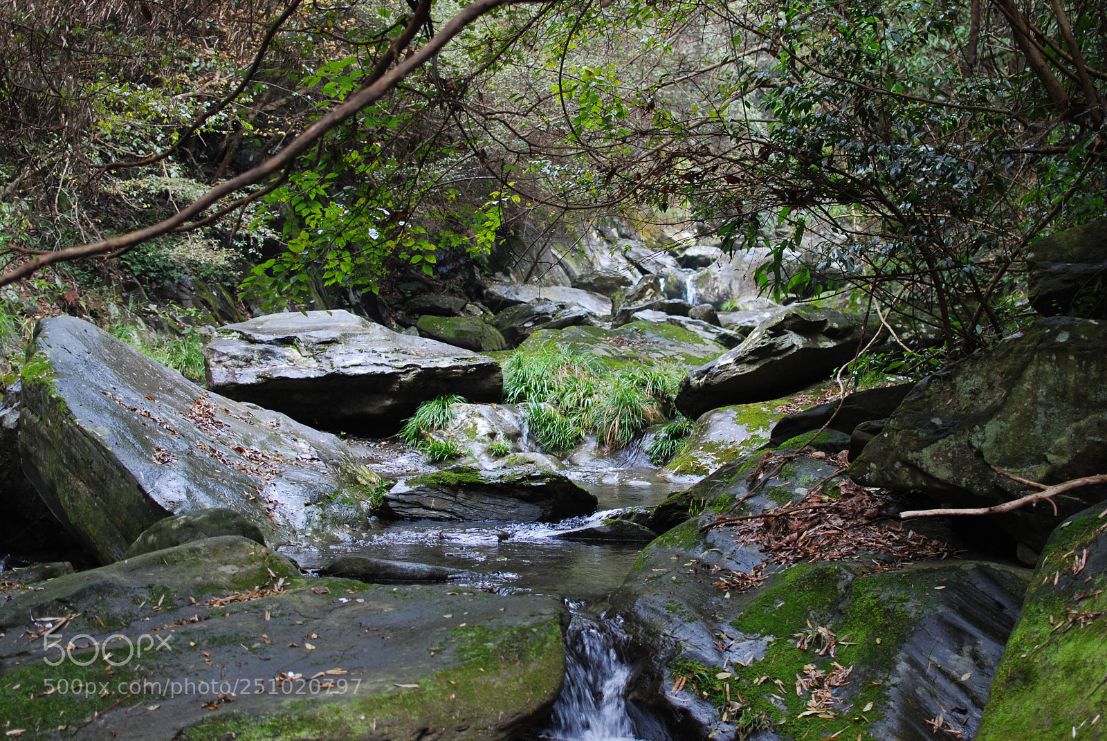 Nikon D60 sample photo. 溪水 photography