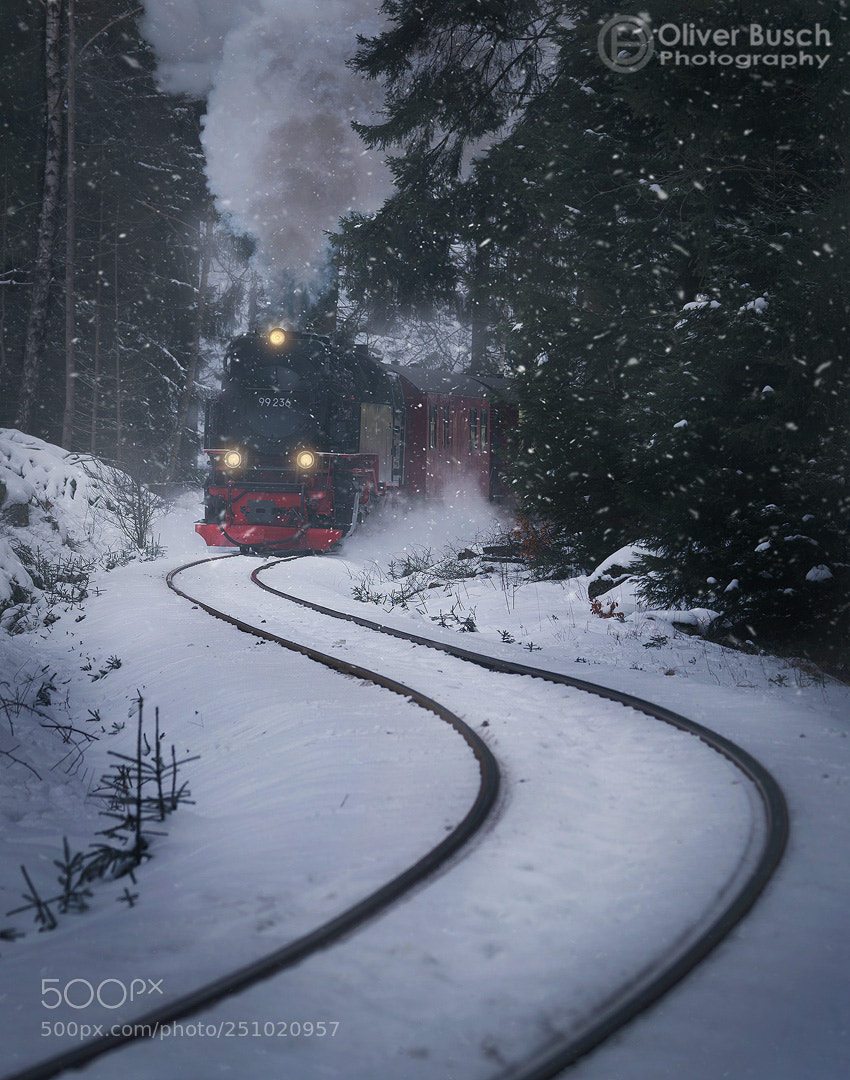 Sony a7R II sample photo. To the brocken! photography