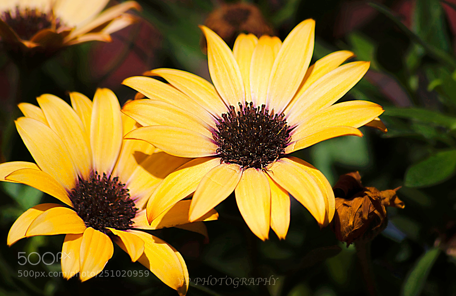 Nikon D200 sample photo. Untitled photography