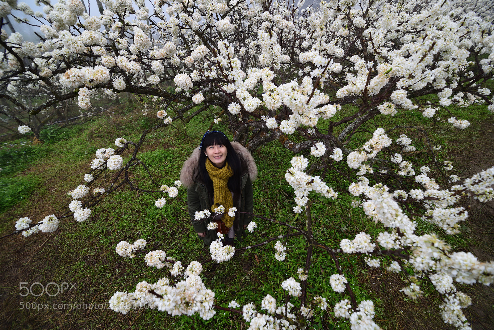 Nikon D810 sample photo. 花花 photography