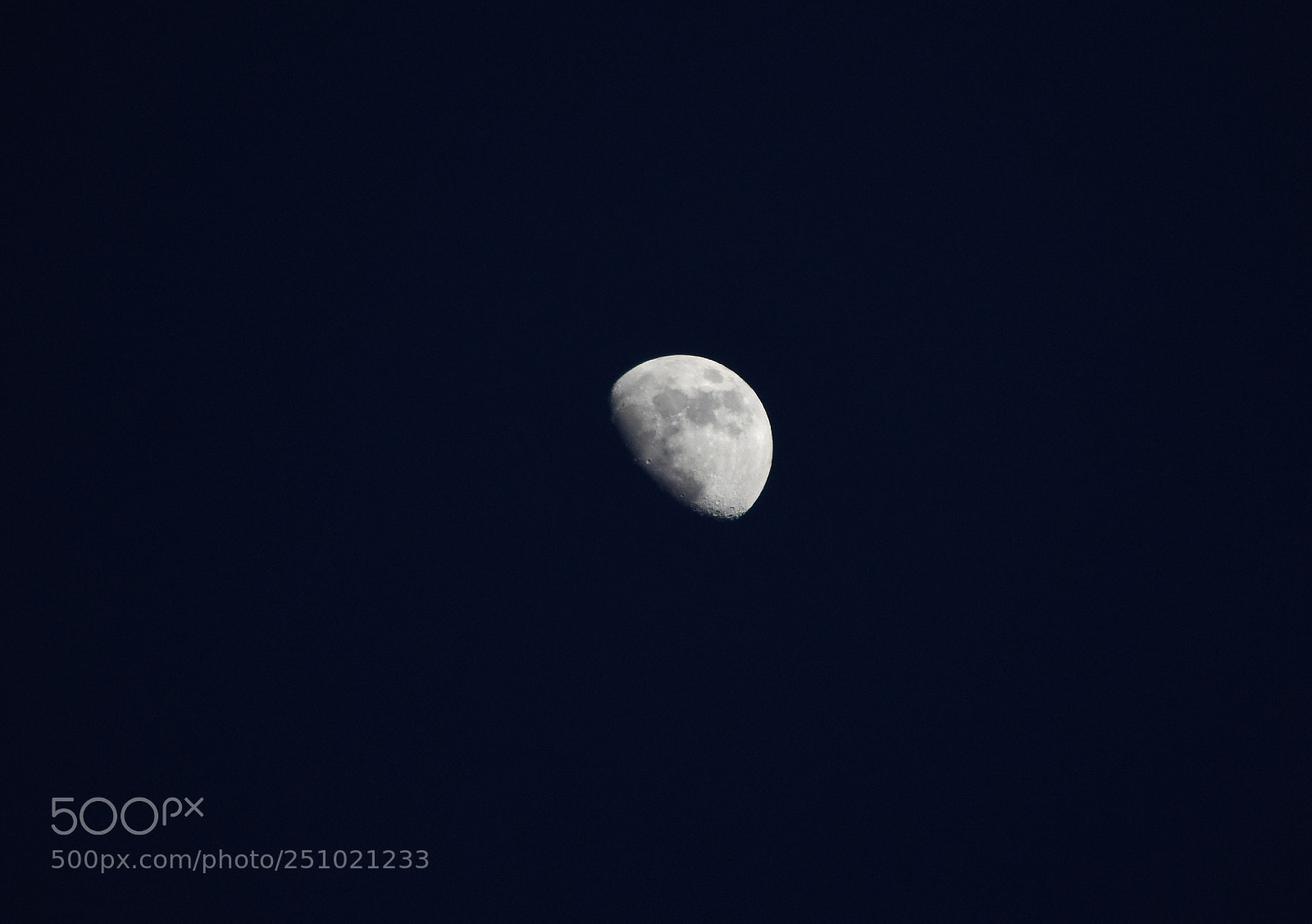 Nikon D7200 sample photo. Untitled photography