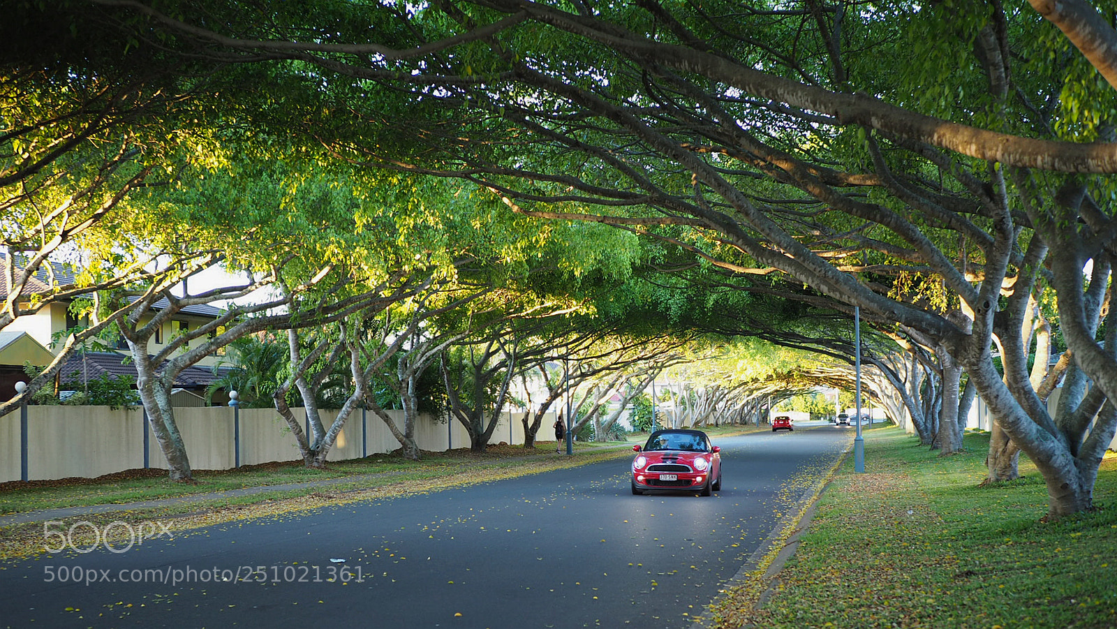 Olympus OM-D E-M10 II sample photo. Boulevard photography