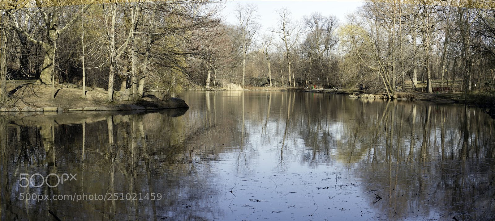 Sony a7R II sample photo. Pond panorama photography