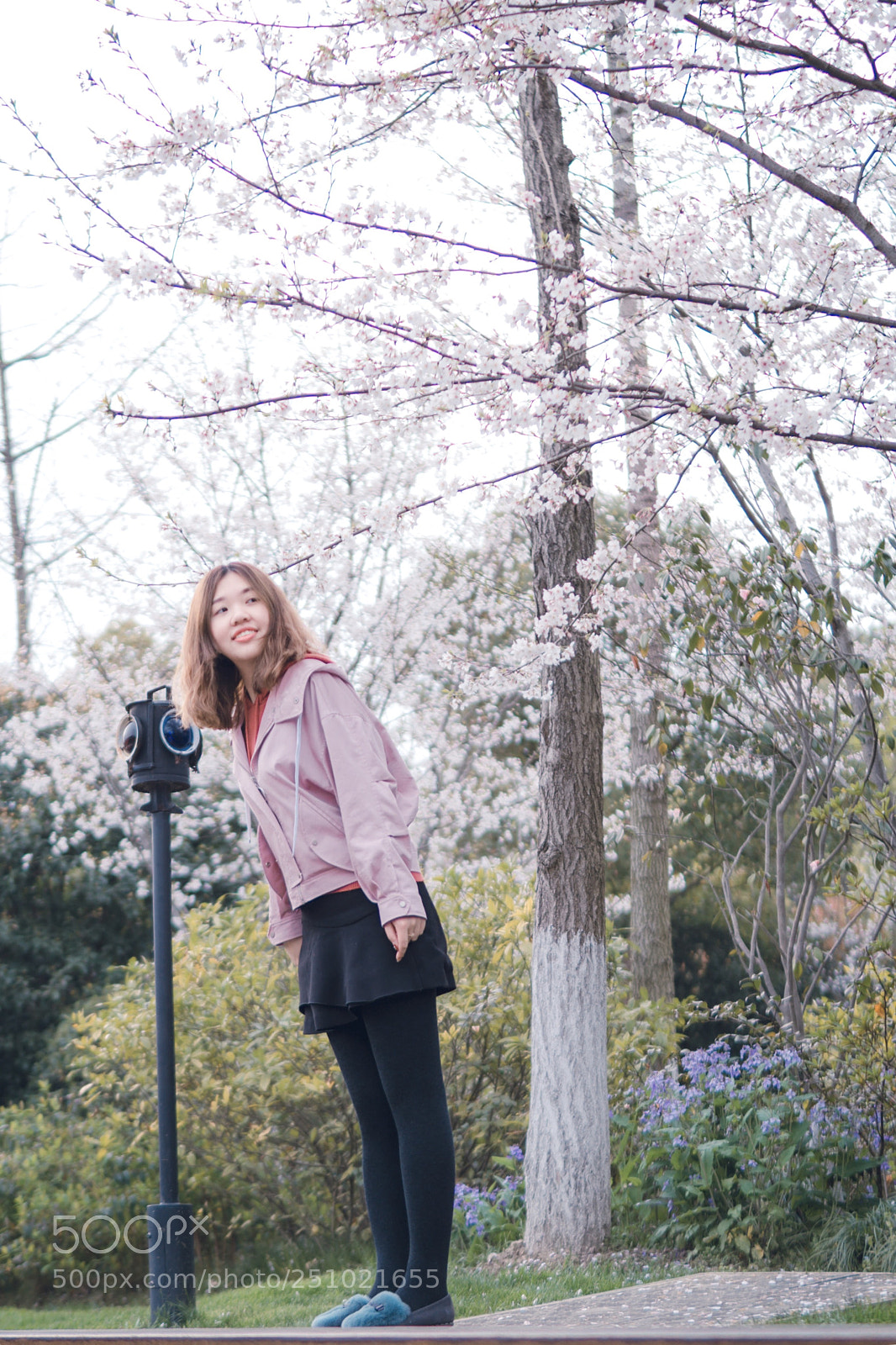Sony a6000 sample photo. 白塔公园 hangzhou photography