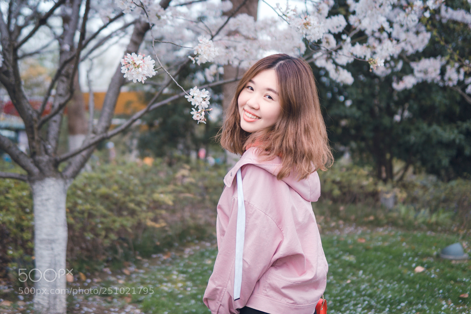 Sony a6000 sample photo. Untitled photography