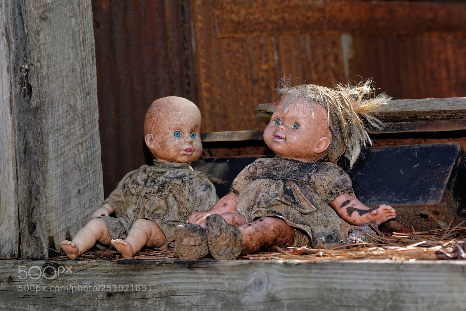 Nikon D810 sample photo. Raggety ann dolls photography
