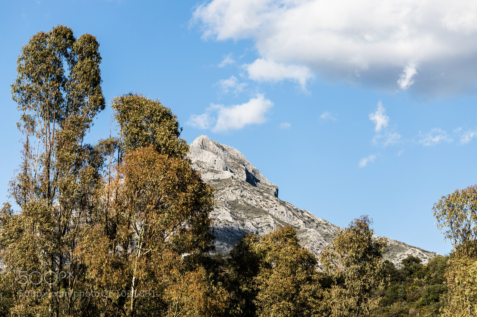 Canon EOS 6D Mark II sample photo. La concha photography