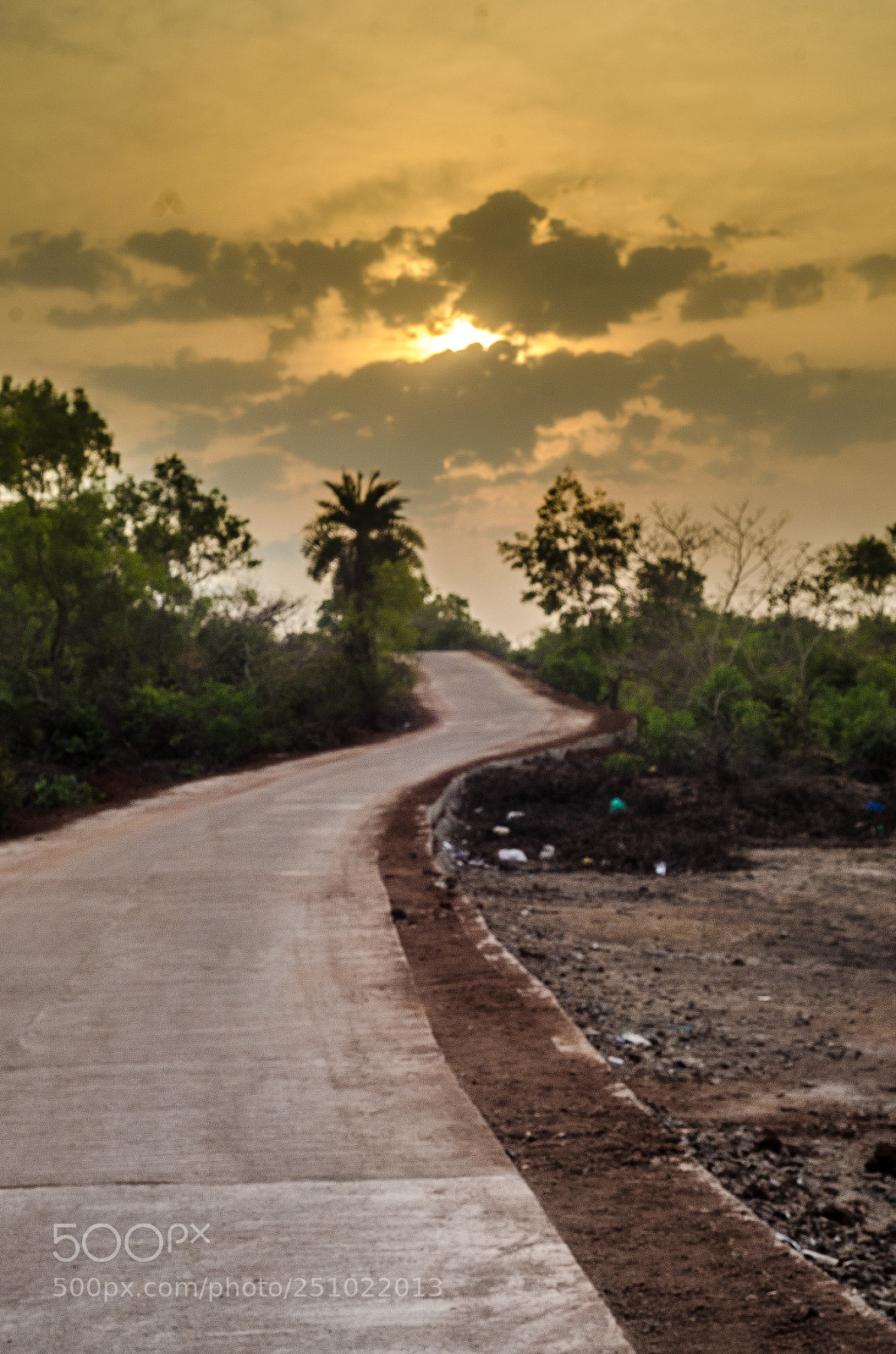Nikon D5100 sample photo. No traffic photography