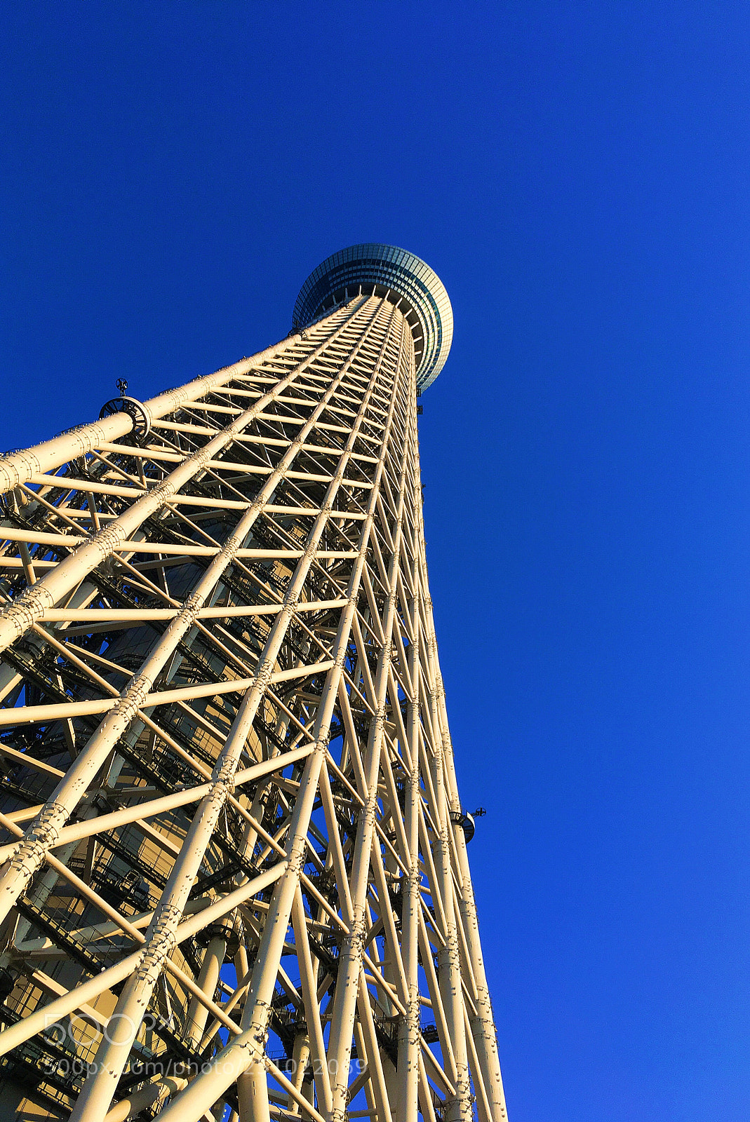 Apple iPhone SE sample photo. Tokyo skytree photography