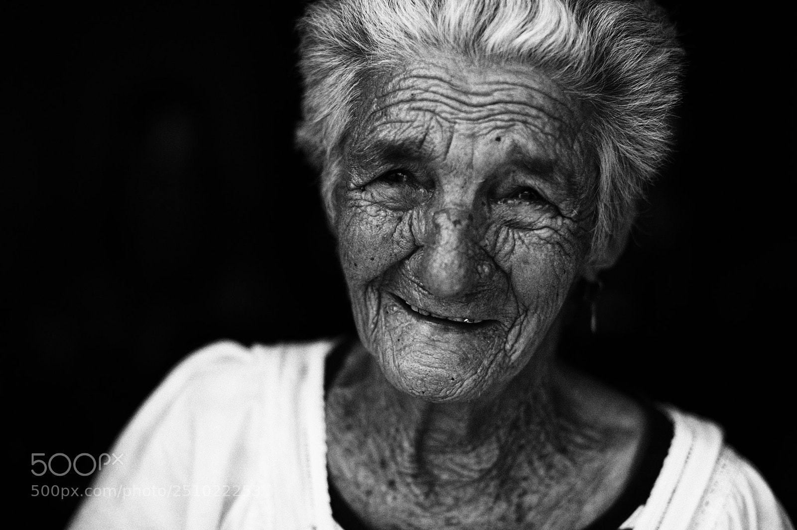 Nikon D700 sample photo. Detail photography