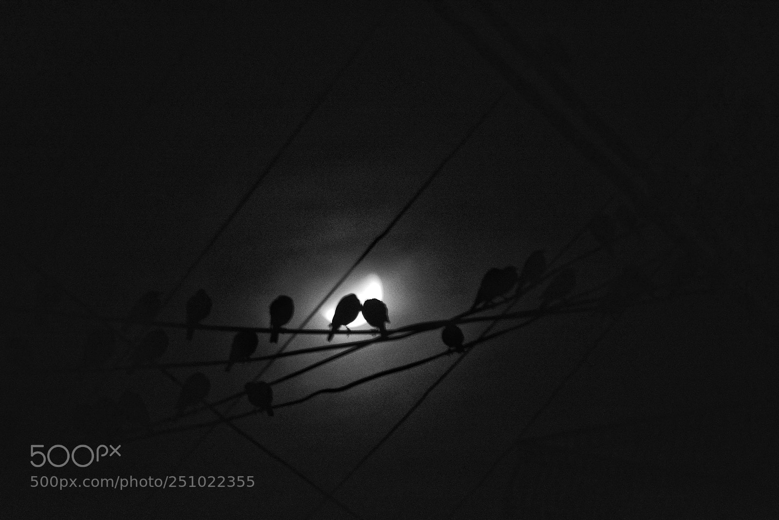Nikon D5200 sample photo. Night moment photography