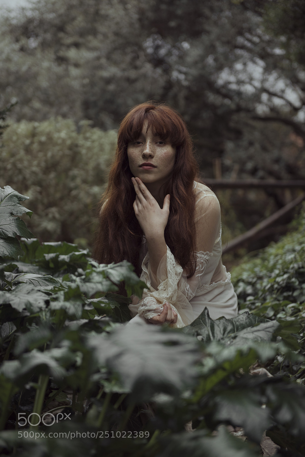 Nikon D810 sample photo. Mulier est natura ii photography