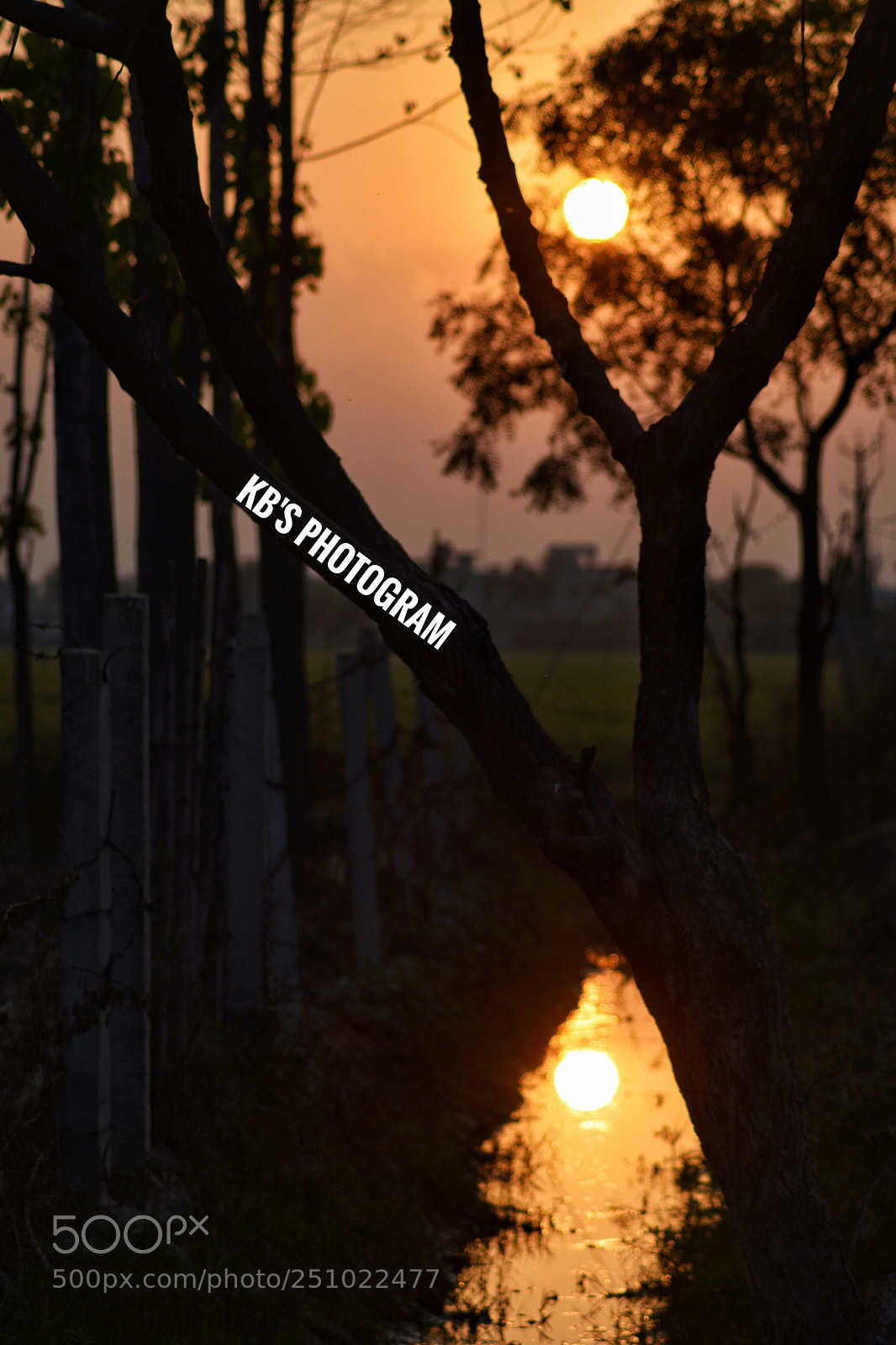 Nikon D5200 sample photo. Sunset silhouette reflection in photography