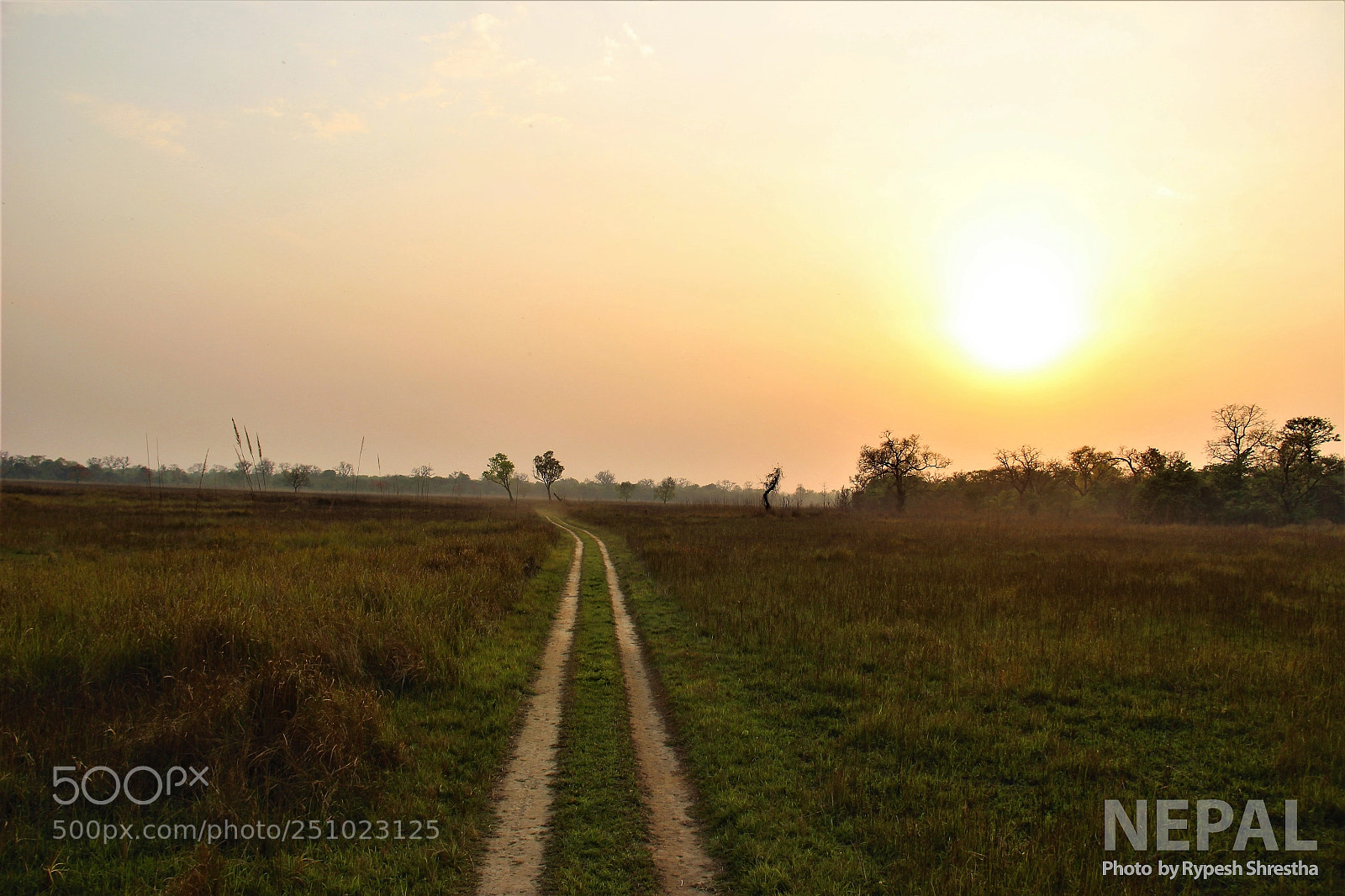 Canon EOS 600D (Rebel EOS T3i / EOS Kiss X5) sample photo. An evening at shuklaphanta photography