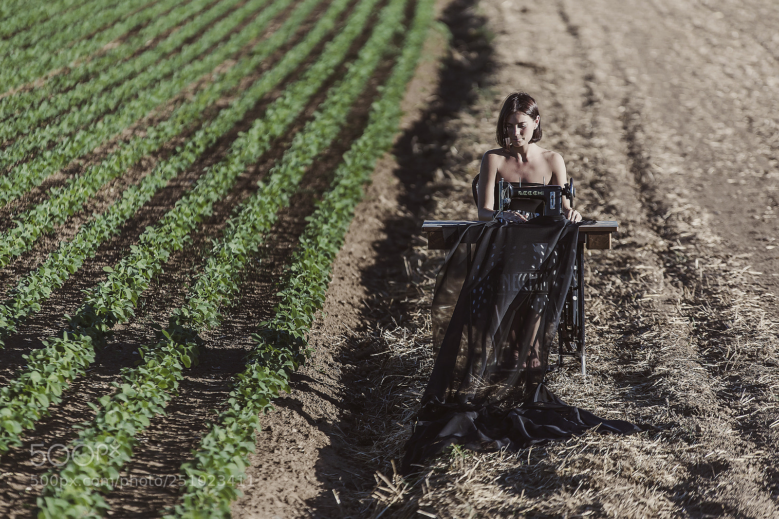 Canon EOS-1D X Mark II sample photo. Byi photography