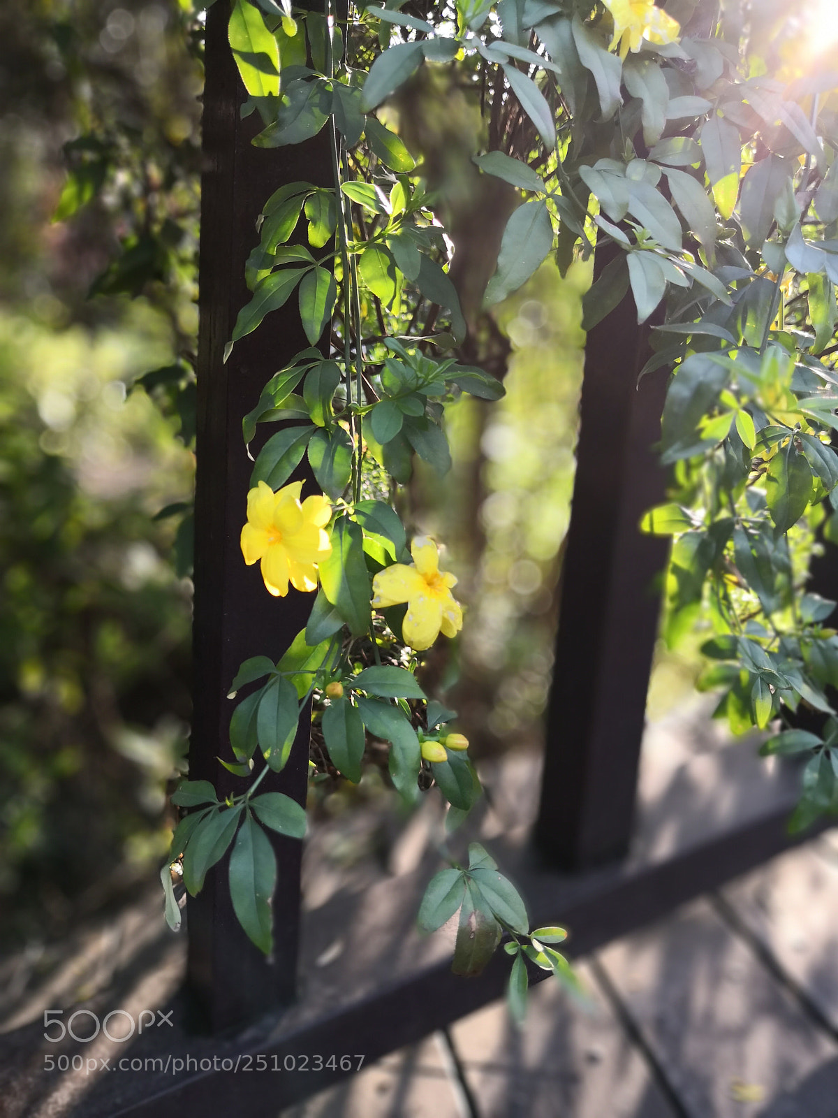 HUAWEI Mate 10 sample photo. Untitled photography