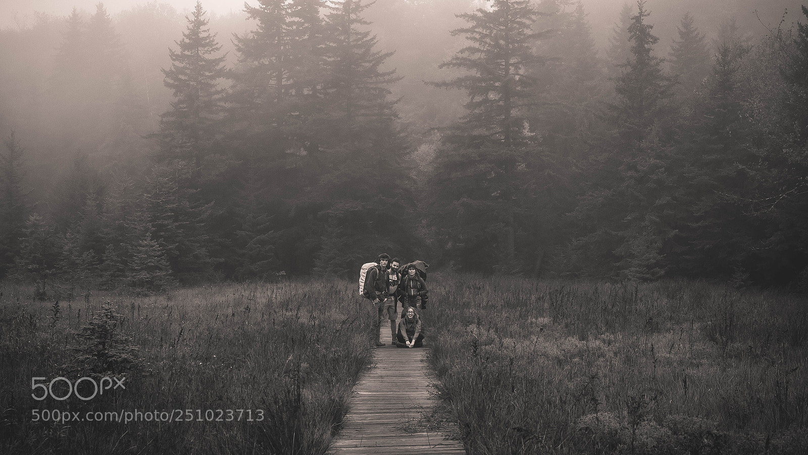 Canon EOS 60D sample photo. Cloudy forest photography