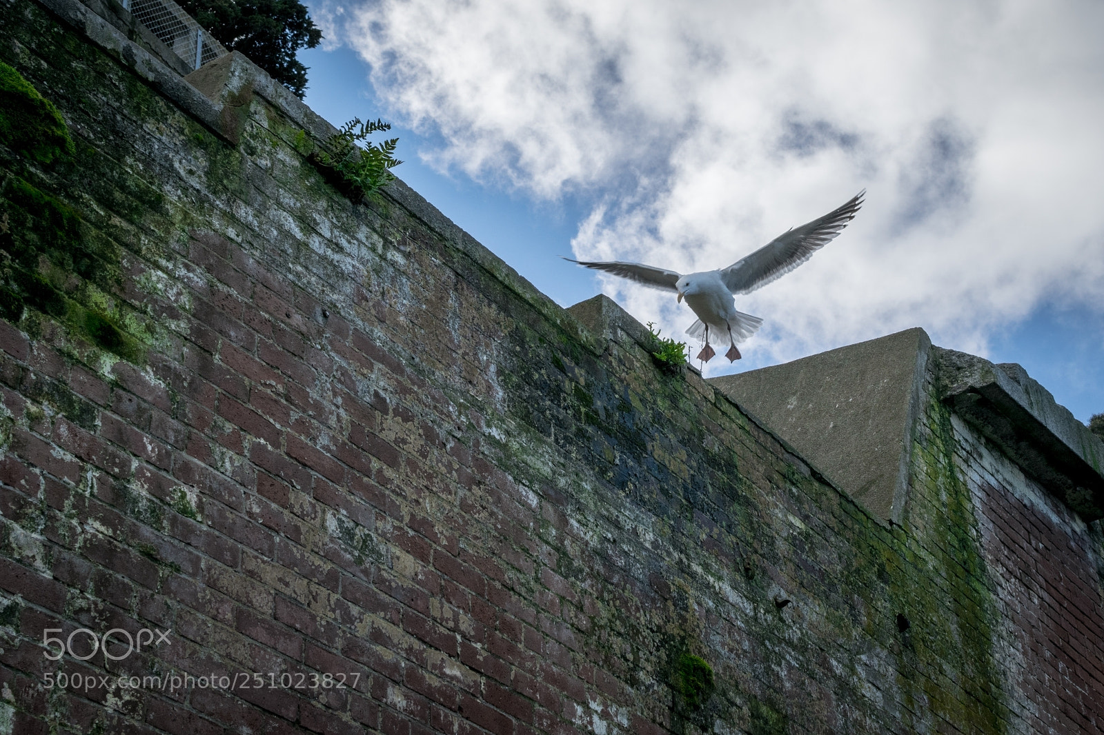 Nikon D5300 sample photo. Leaving alcatraz photography