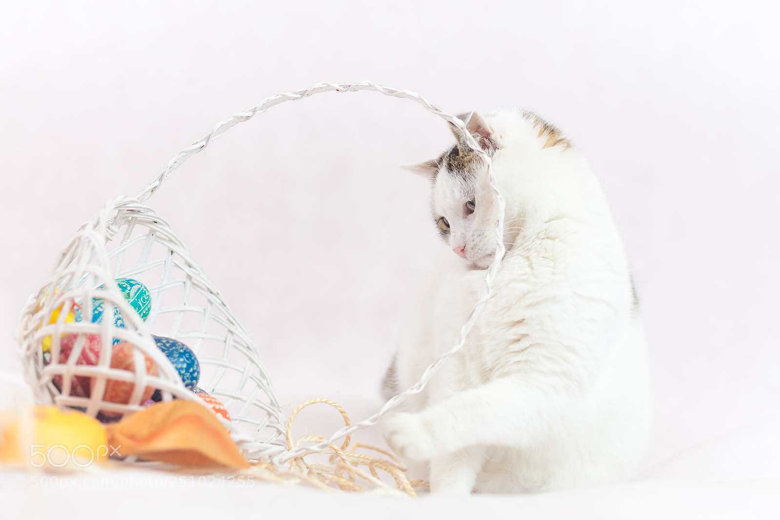 Canon EOS 5D sample photo. Easter is coming photography