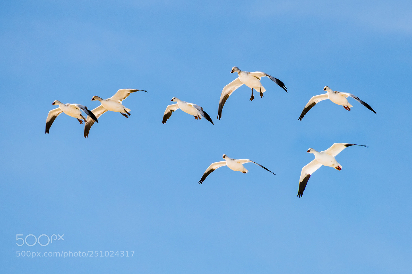 Nikon D850 sample photo. Under the blue sky  photography