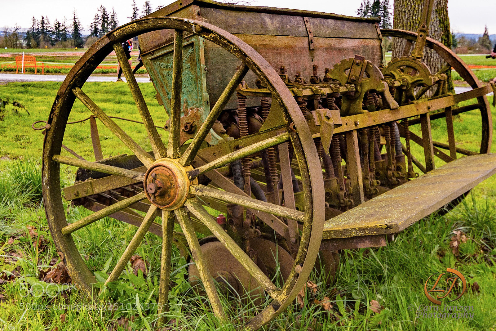Nikon D7200 sample photo. Back in time. photography