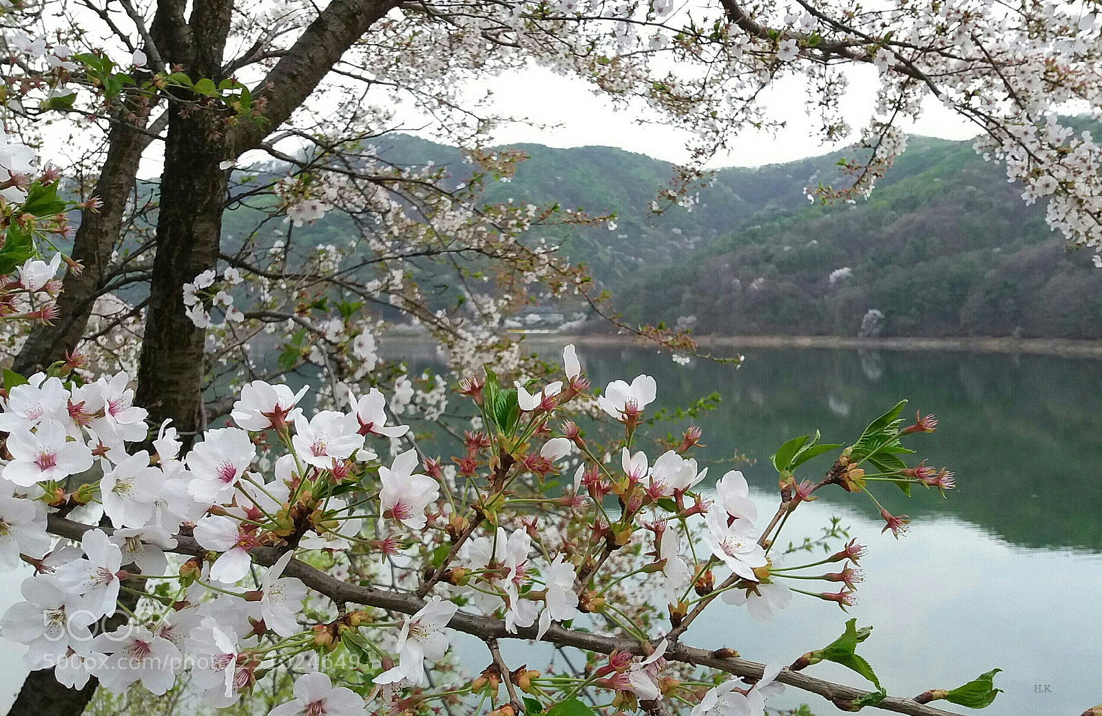 Samsung Galaxy J5 sample photo. Now spring photography