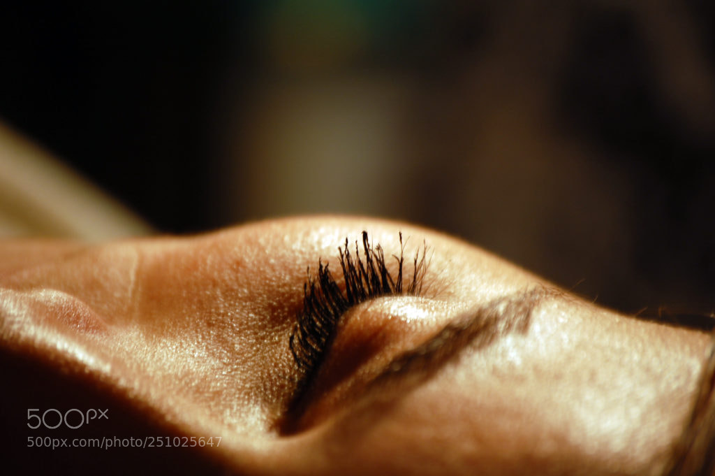 Nikon D40 sample photo. Closeup photography