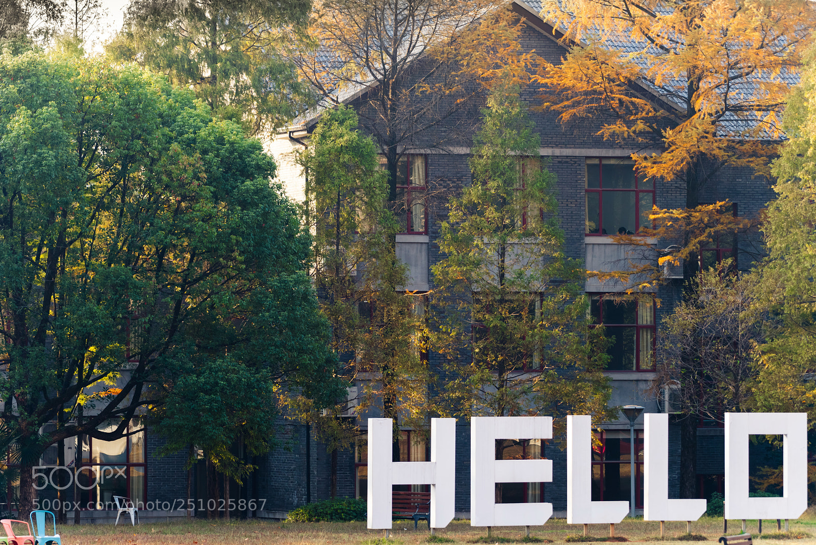 Nikon D810 sample photo. 浙师大校园早晨morning on campus zjnu photography