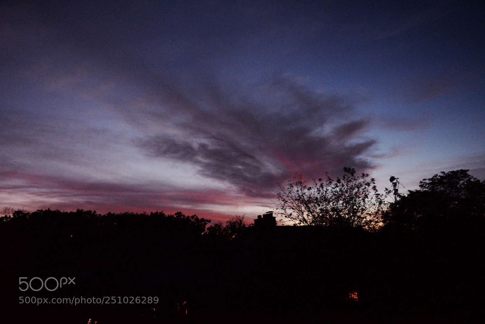 Nikon D610 sample photo. Outside of the window 1 photography