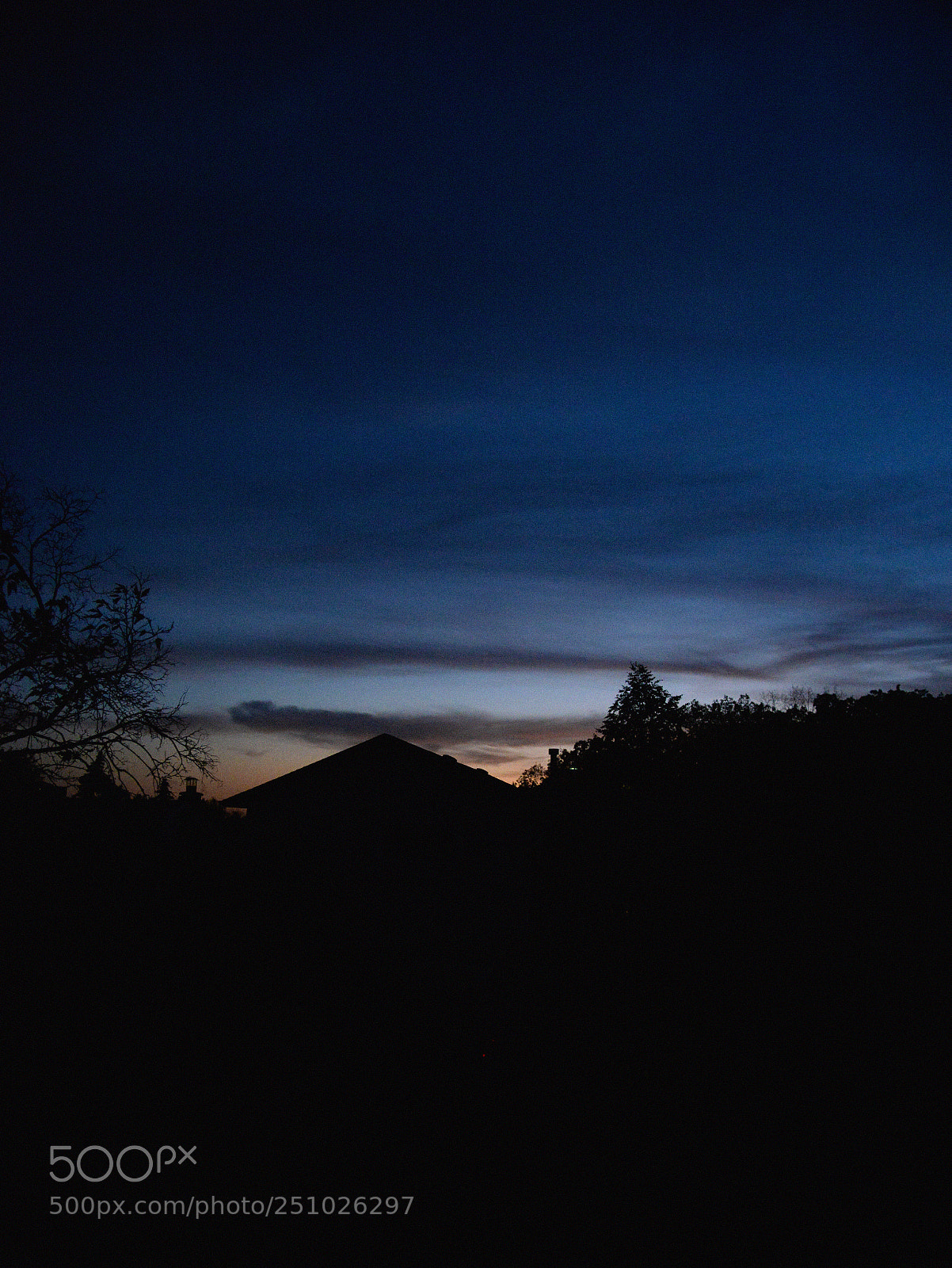 Nikon D610 sample photo. Outside of the window 2 photography
