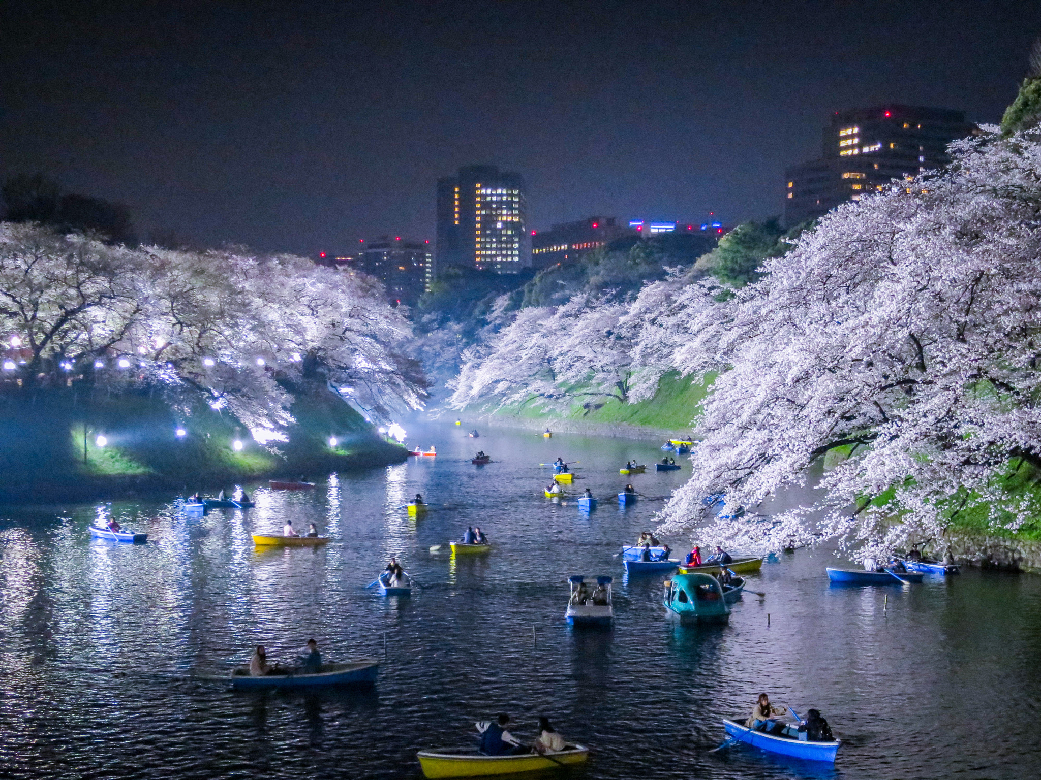 Canon PowerShot S120 sample photo. Cherry blossoms and boats at night photography