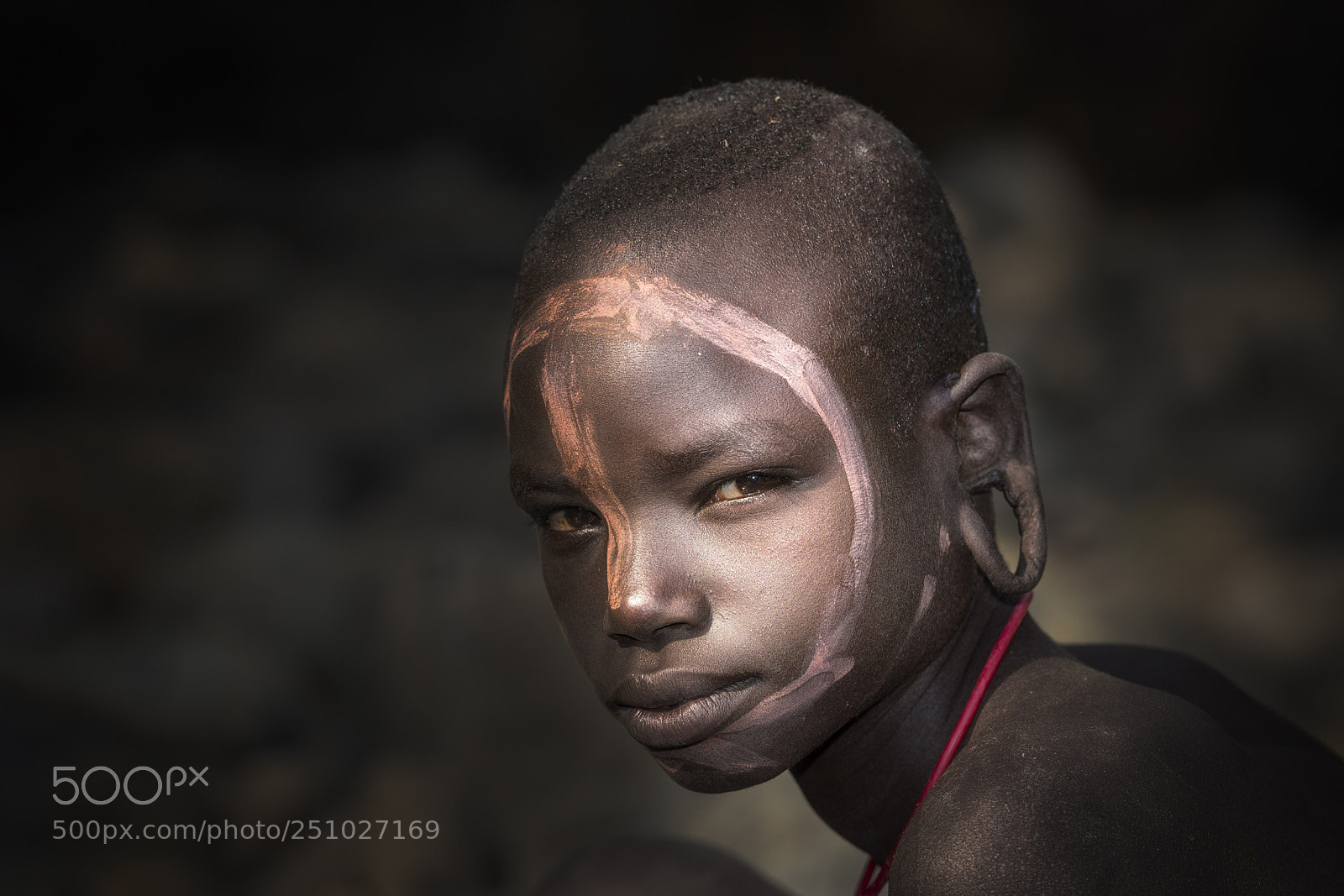 Nikon D810 sample photo. Severe gaze photography