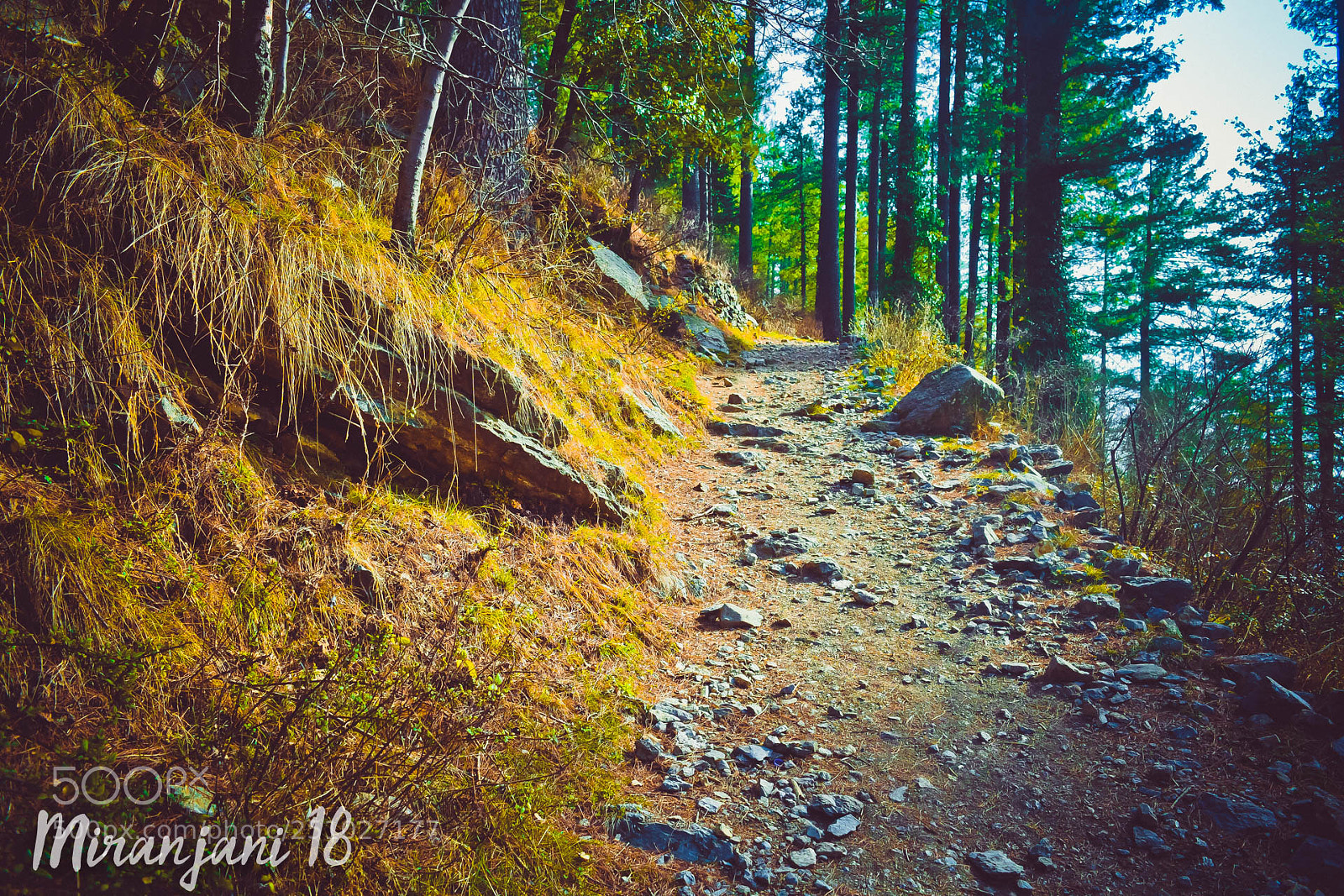 Nikon D3300 sample photo. Trek to miranjani photography