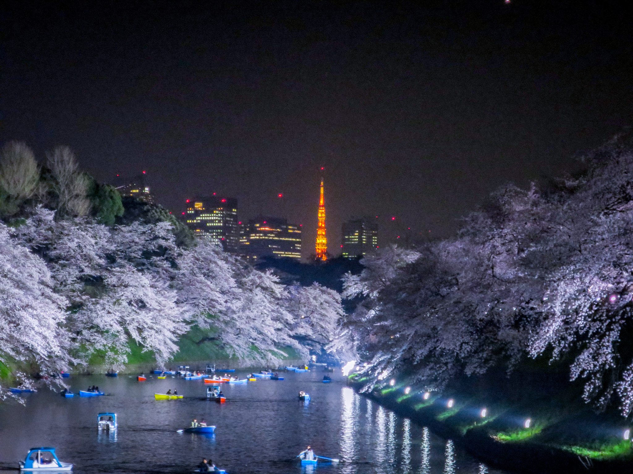 Canon PowerShot S120 sample photo. Cherry blossoms, boats and tokyo tower at night photography