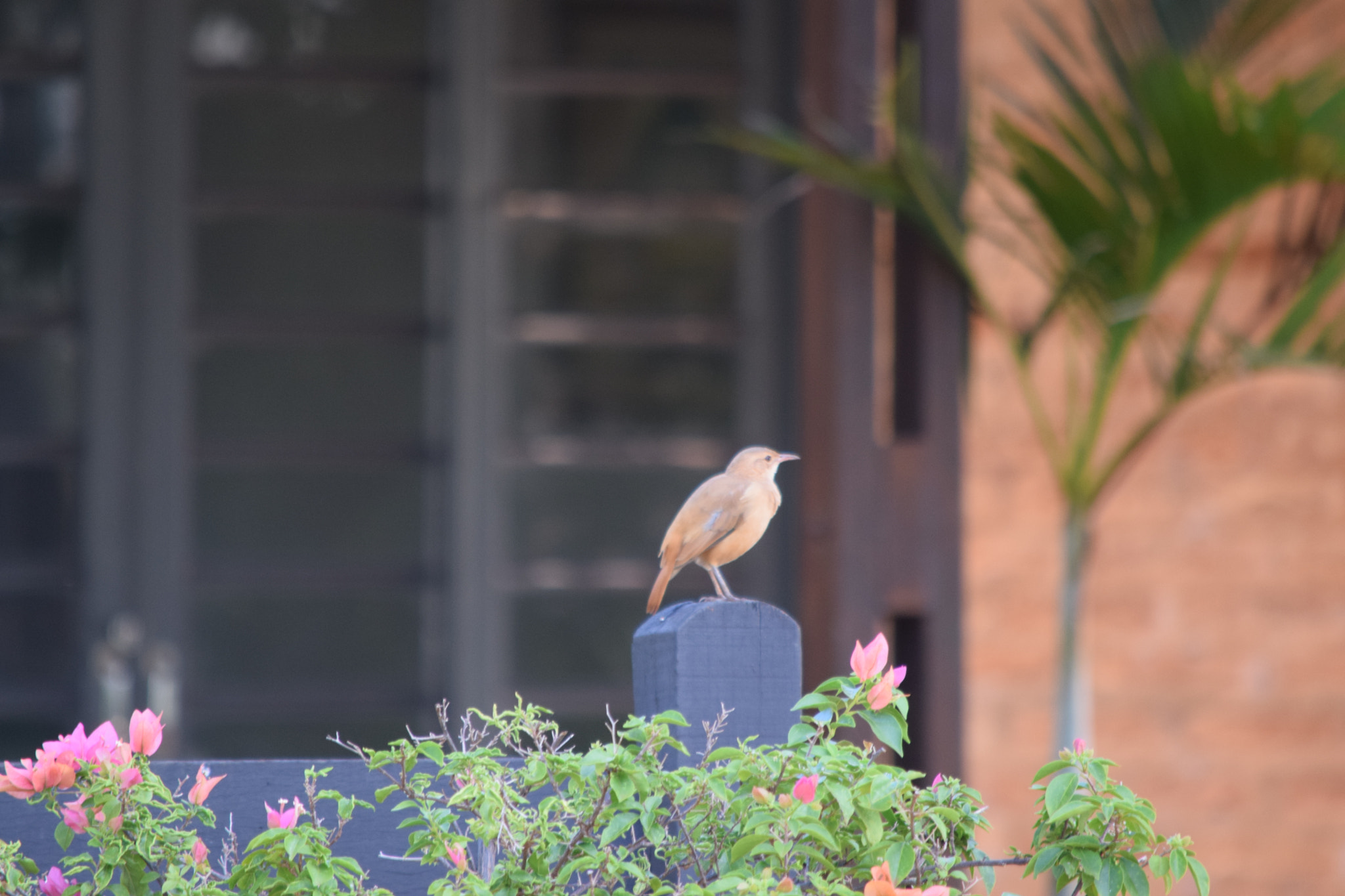 Nikon D3300 sample photo