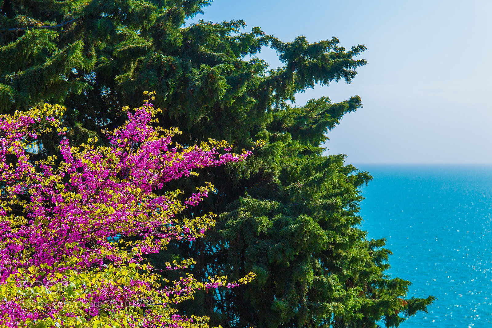 Canon EOS 70D sample photo. Nature gradient photography
