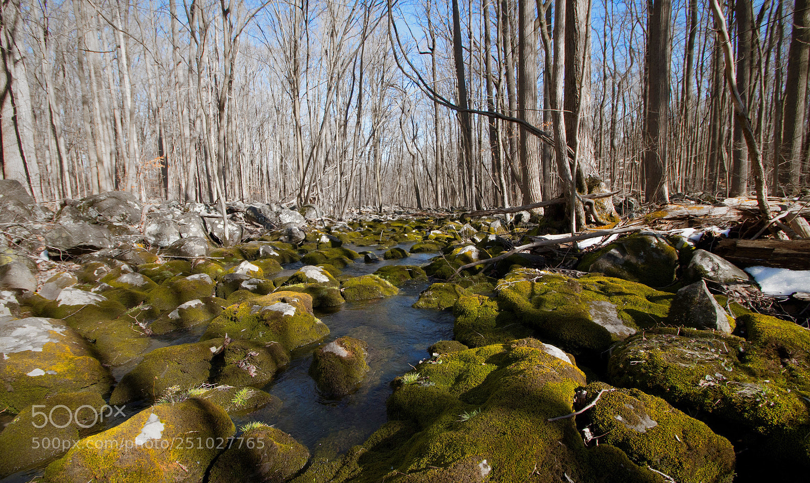 Nikon D500 sample photo. Little winter left... lots photography