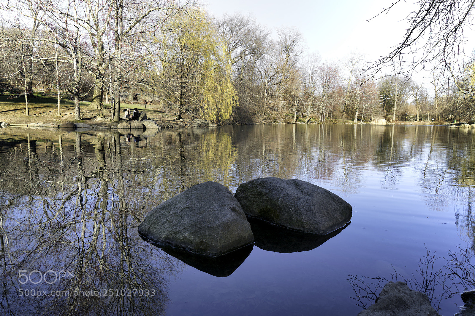 Sony a7R II sample photo. Pond stones photography