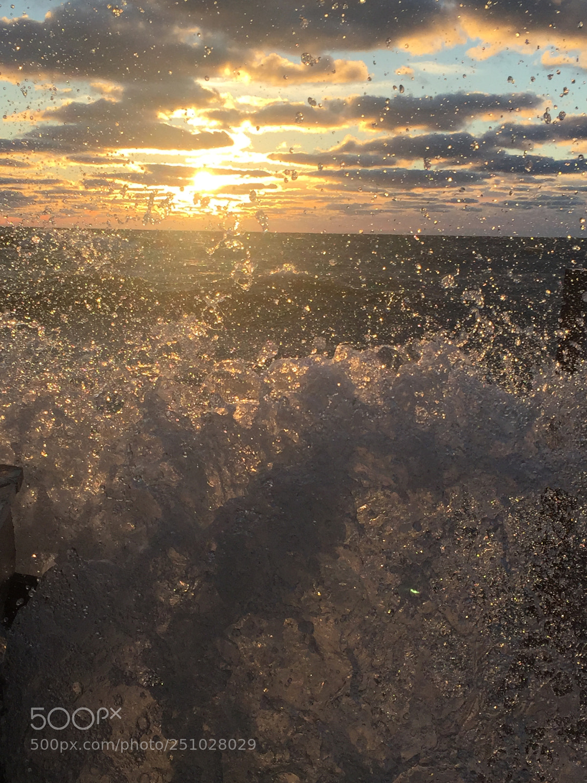 Apple iPhone 6 sample photo. What a rush! photography