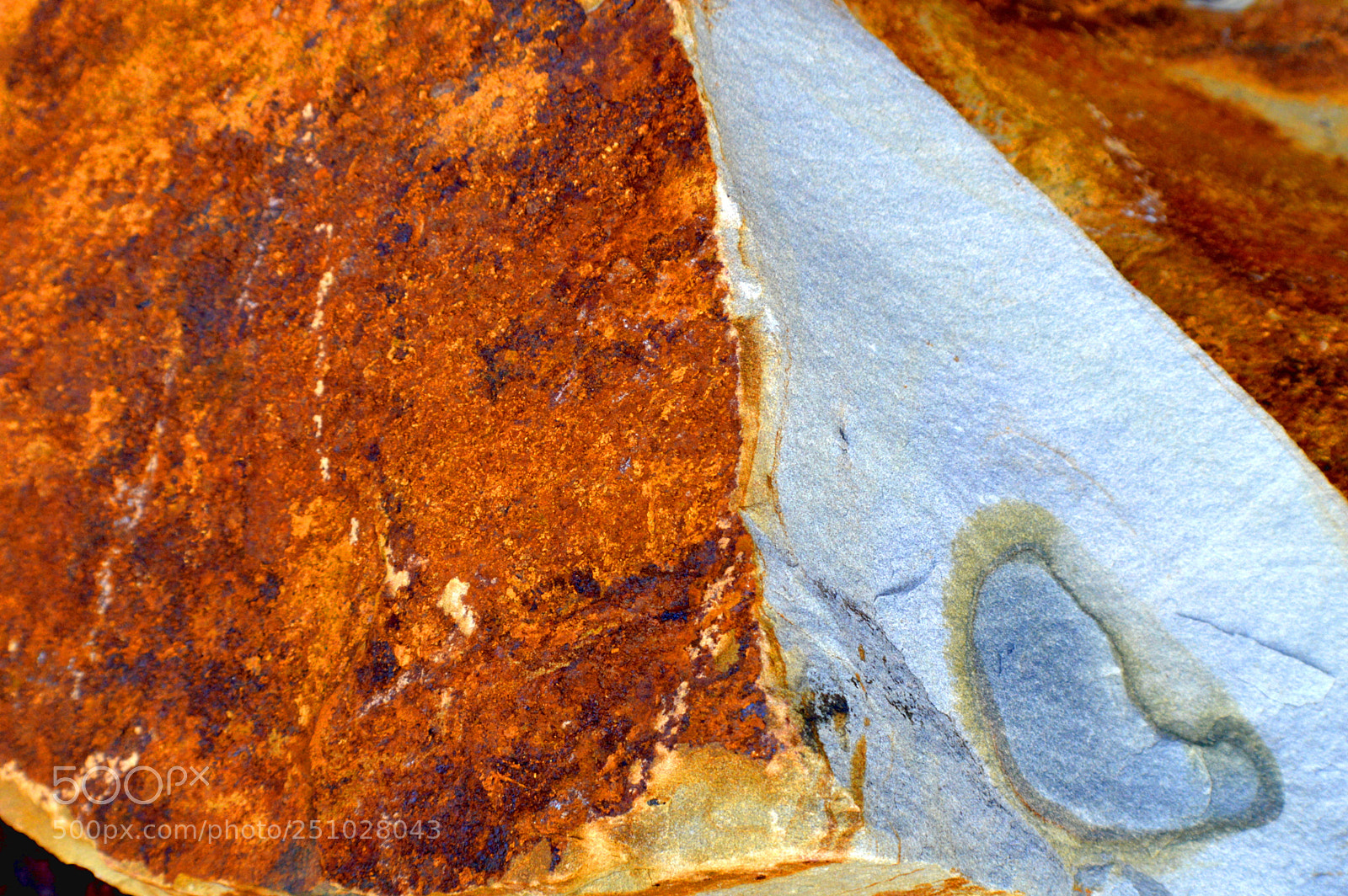 Nikon D3200 sample photo. Sail away photography