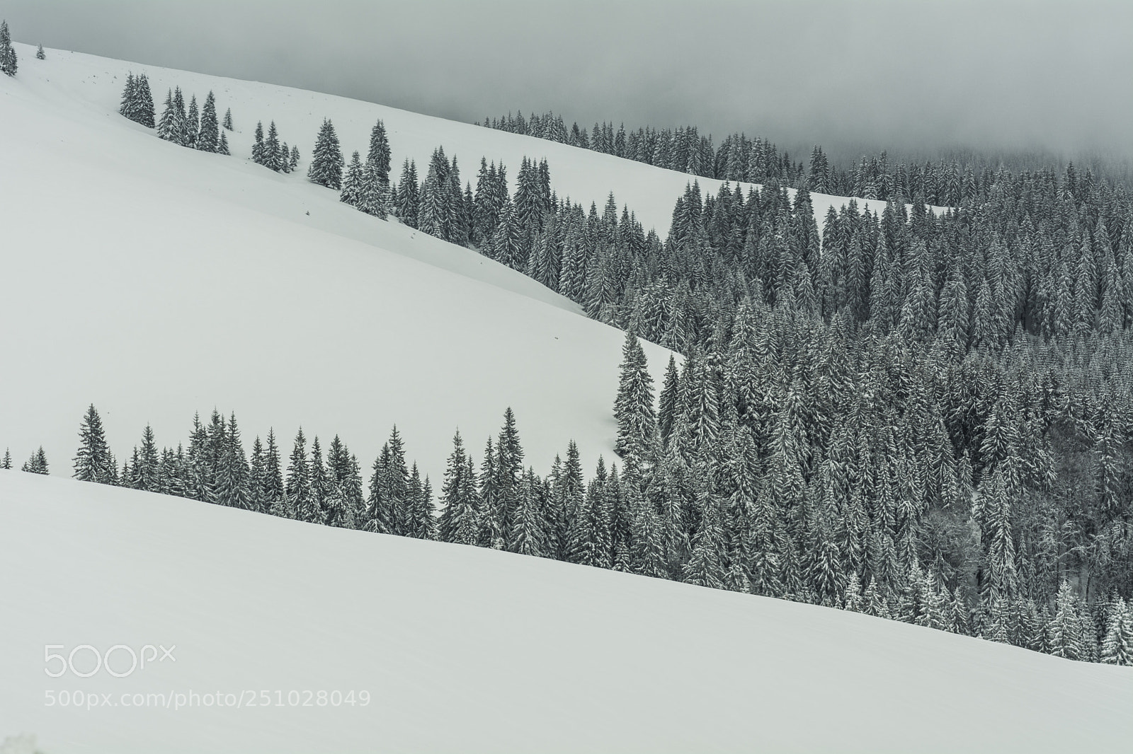 Nikon D7100 sample photo. Winter landscape in march photography